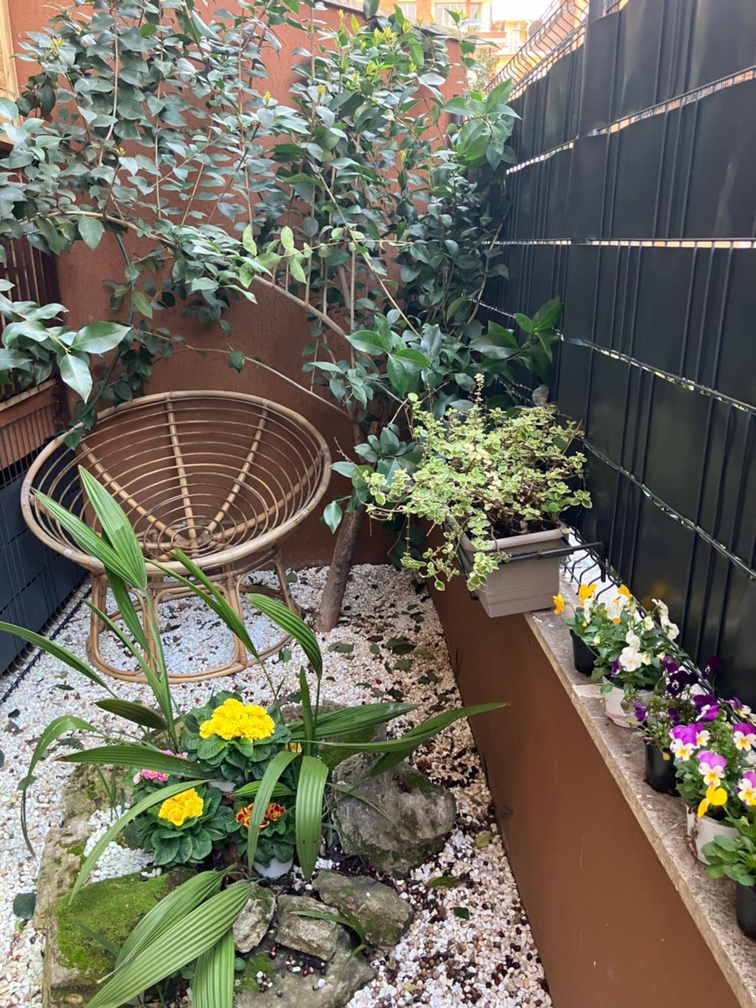 Le Rondini In Giardino Apartment Rom